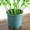2ft. UV Resistant Artificial Tulip Plant (Indoor/Outdoor)